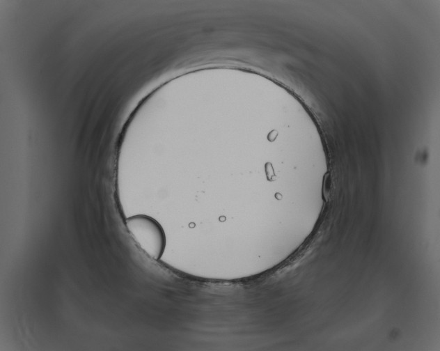 X0000096971526200803070954