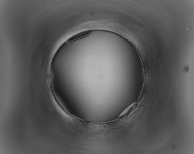 X0000096971528200803070954