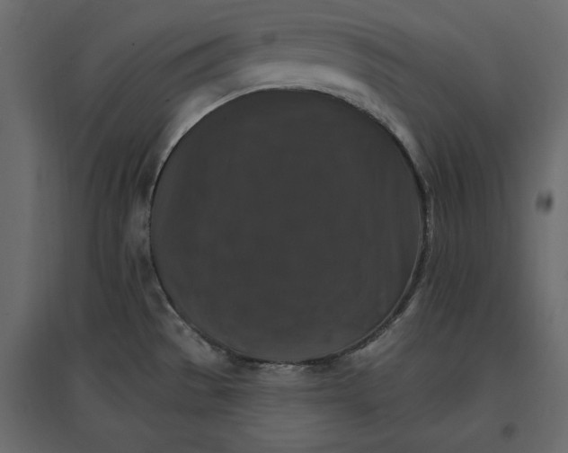 X0000096971529200803070954