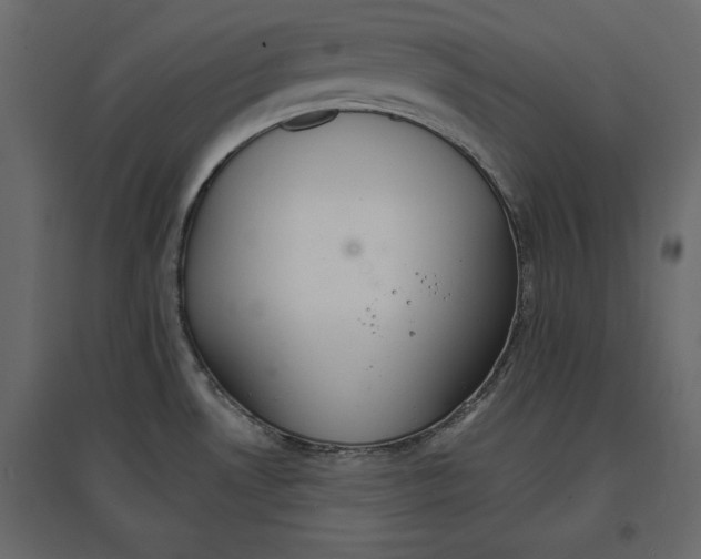 X0000096971530200803070954