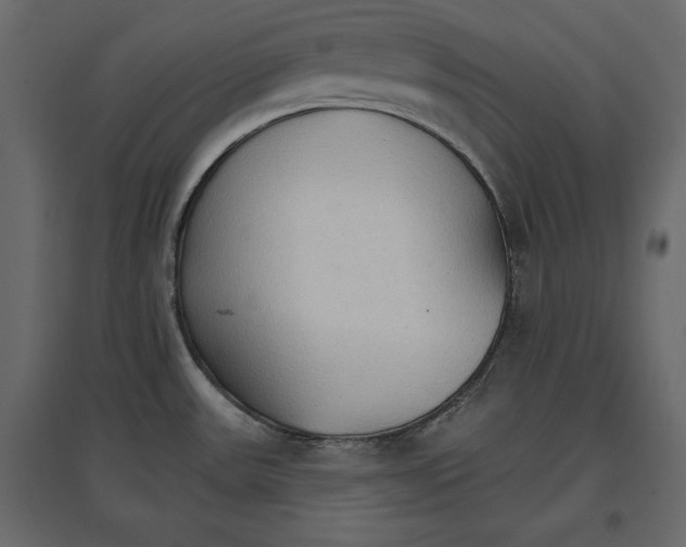 X0000096971531200803070954