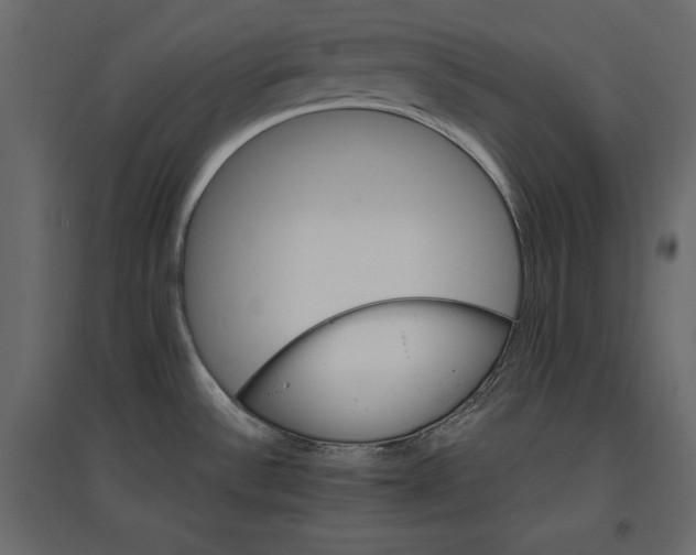 X0000096971532200803070954