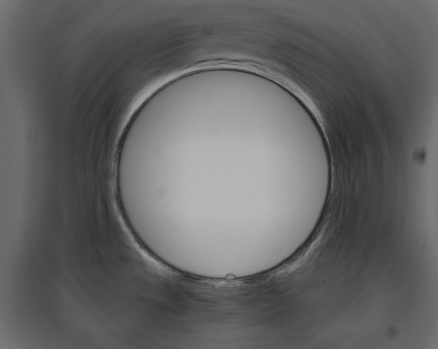 X0000096971533200803070954