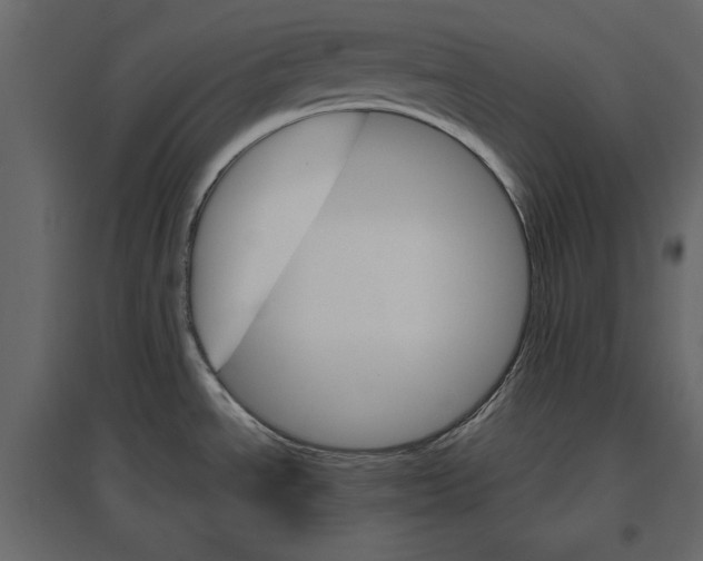 X0000096971534200803070954