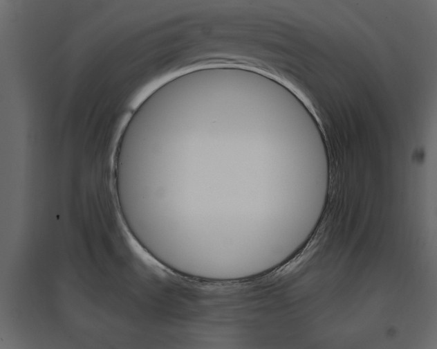 X0000096971535200803070954