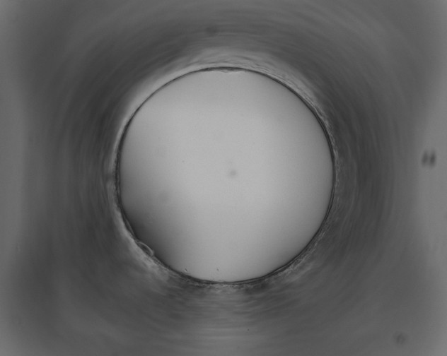 X0000096971536200803070954