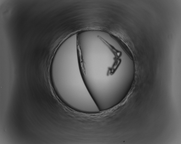 X0000096980001200802080908