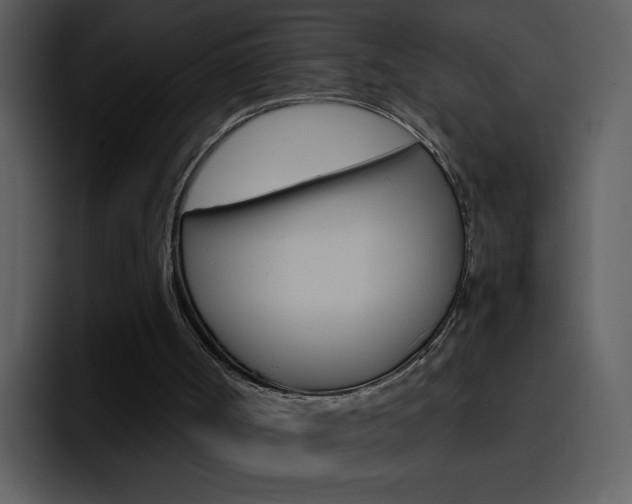 X0000096980002200802080908