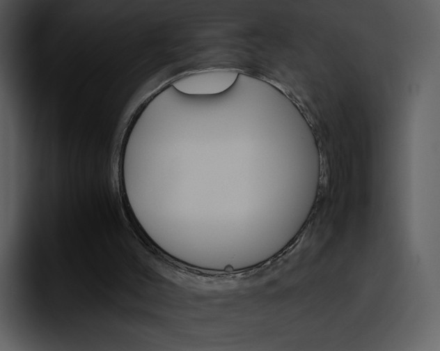 X0000096980004200802080908