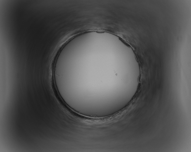 X0000096980005200802080908