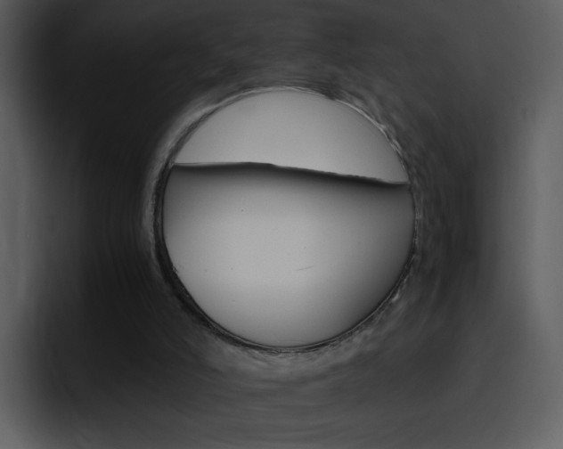 X0000096980006200802080908