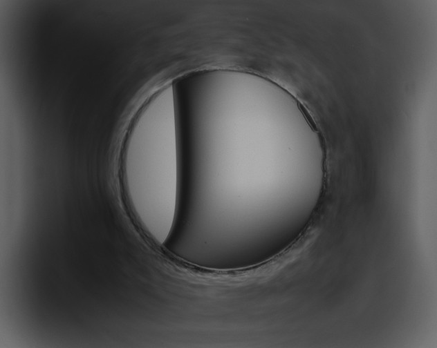 X0000096980007200802080908