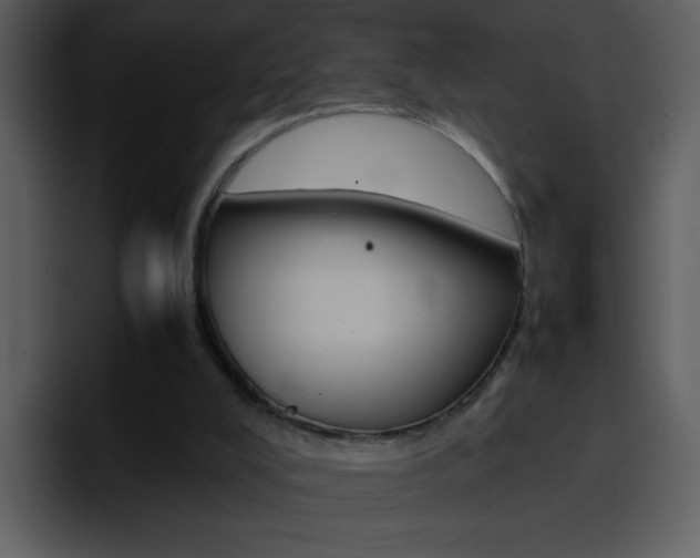 X0000096980008200802080908