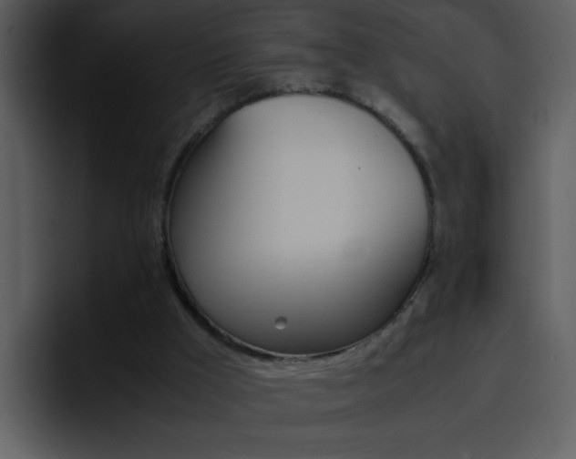 X0000096980009200802080908