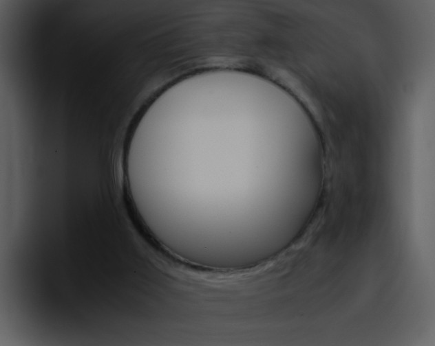 X0000096980011200802080908