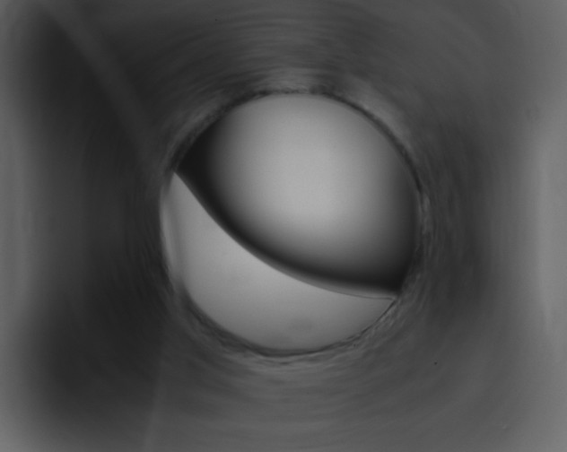 X0000096980013200802080908