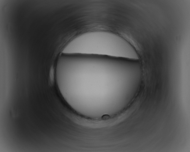 X0000096980014200802080908