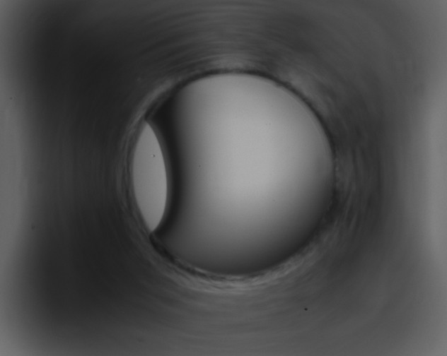 X0000096980015200802080908