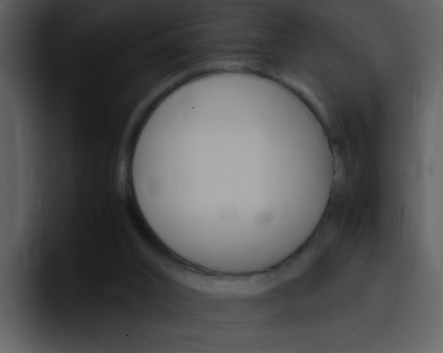 X0000096980016200802080908