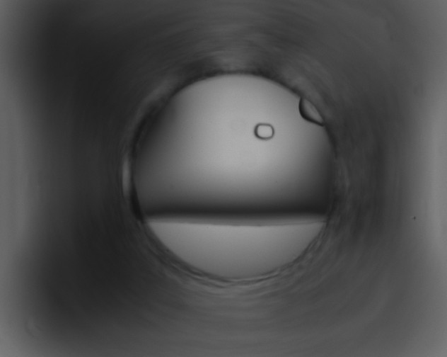 X0000096980019200802080908