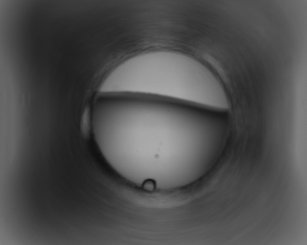 X0000096980020200802080908