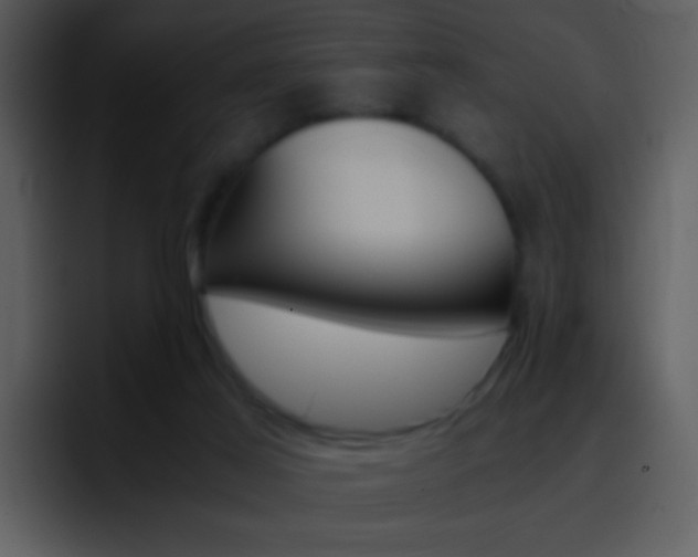 X0000096980021200802080908