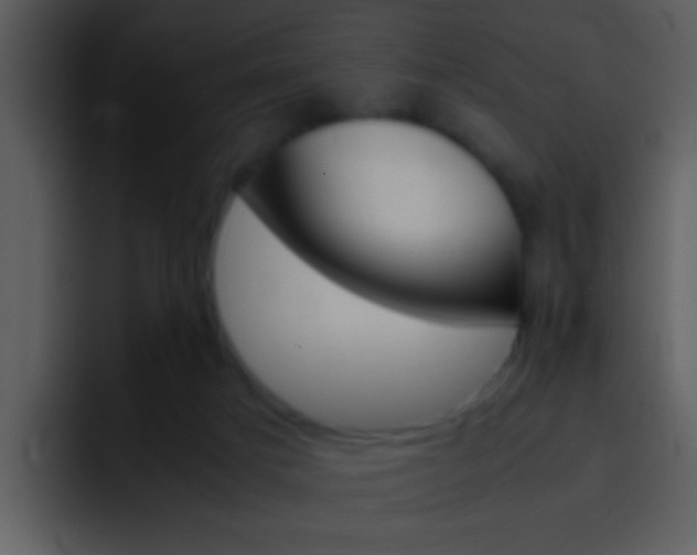 X0000096980025200802080908