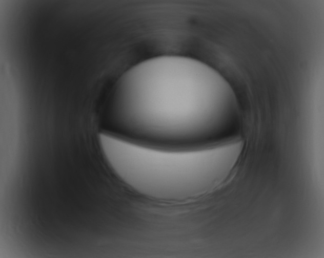X0000096980029200802080908