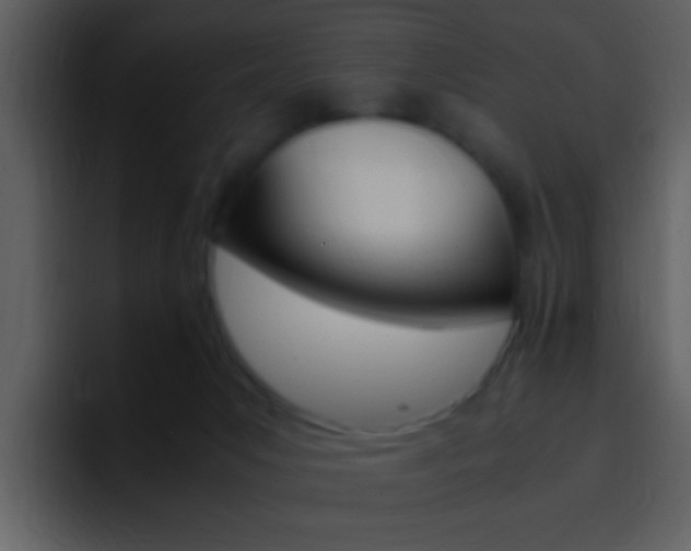 X0000096980031200802080908