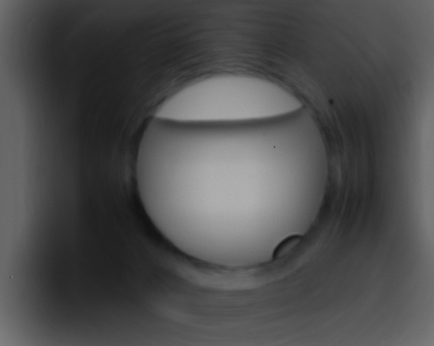 X0000096980032200802080908