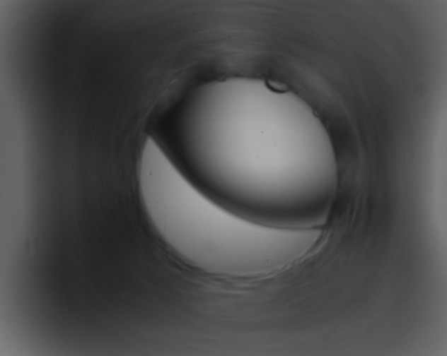 X0000096980033200802080908