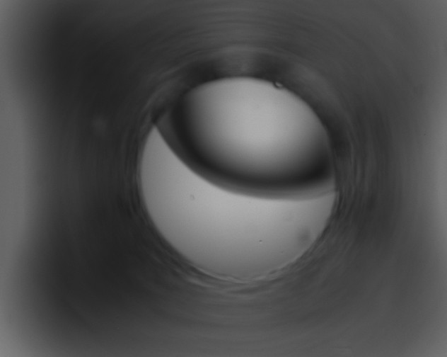 X0000096980035200802080908