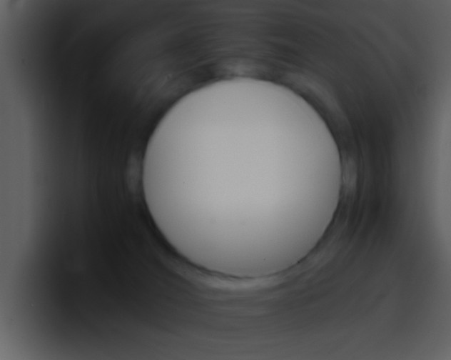 X0000096980036200802080908