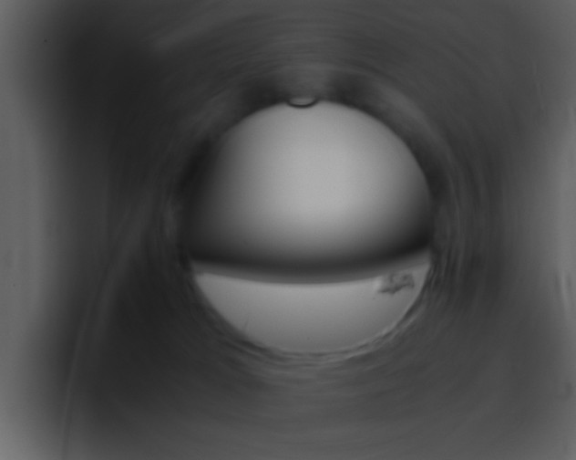 X0000096980037200802080908