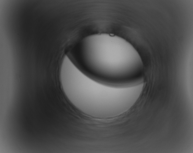 X0000096980039200802080908