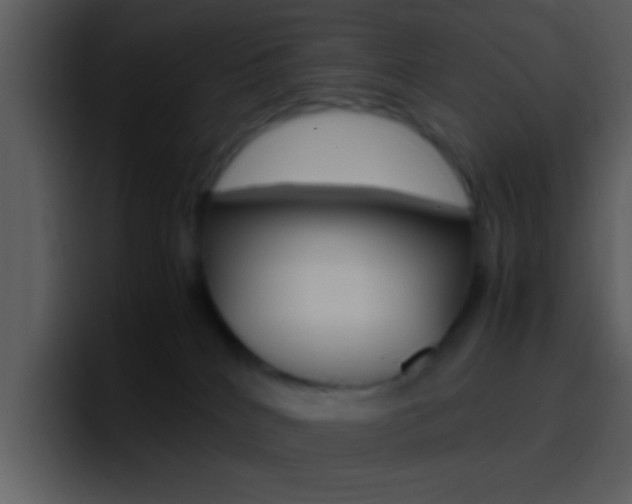 X0000096980040200802080908
