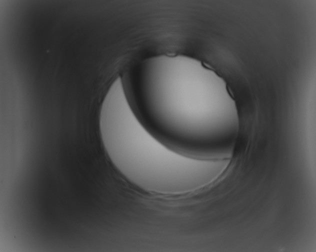 X0000096980041200802080908