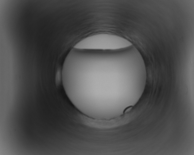 X0000096980042200802080908