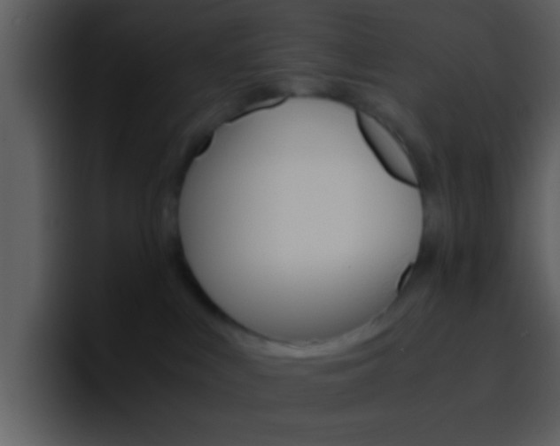 X0000096980043200802080908