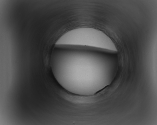 X0000096980044200802080908