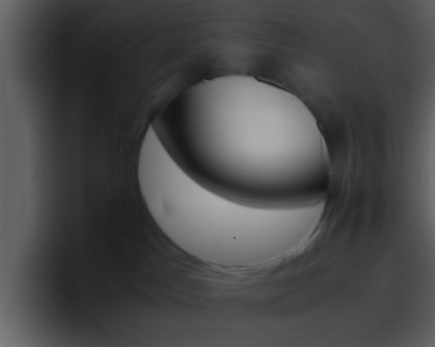 X0000096980045200802080908