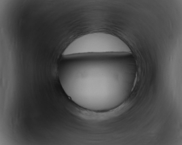 X0000096980048200802080908