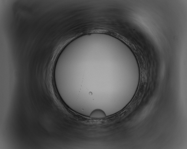 X0000096980049200802080907