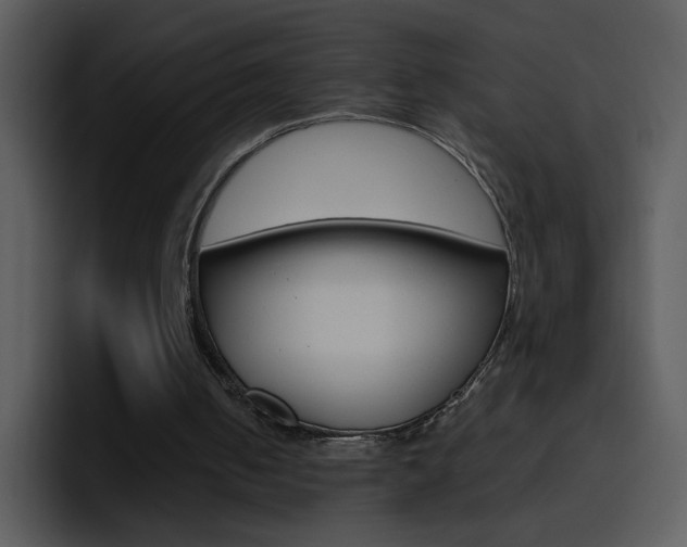 X0000096980050200802080907
