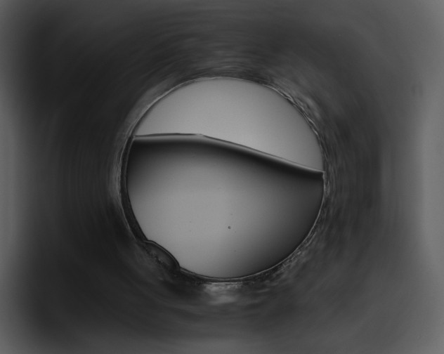 X0000096980051200802080907