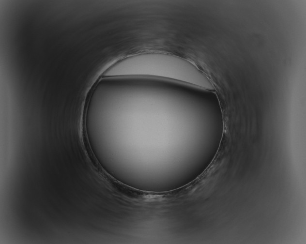 X0000096980052200802080907
