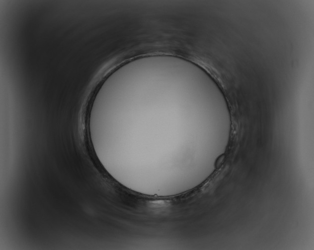 X0000096980053200802080907
