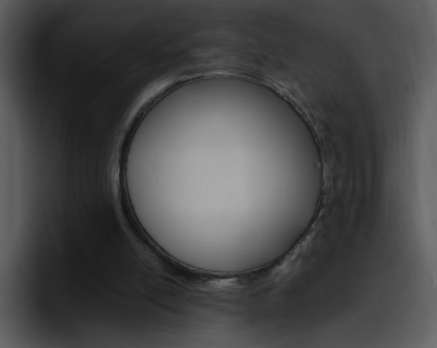 X0000096980054200802080907