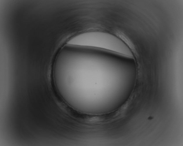 X0000096980058200802080907