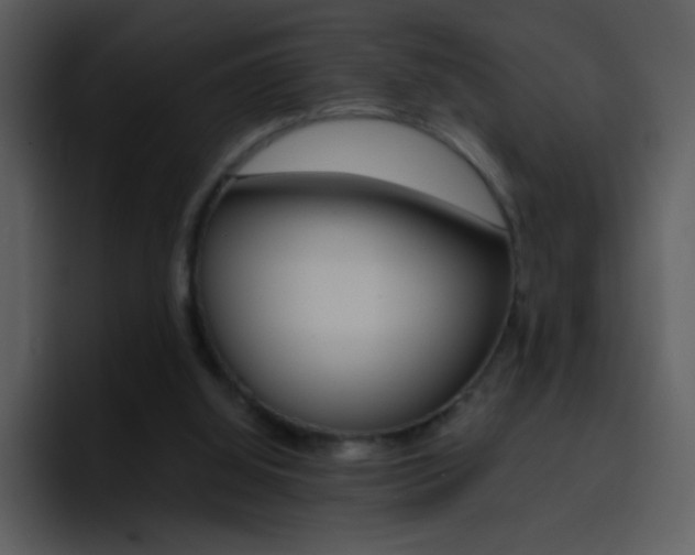X0000096980060200802080907